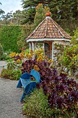 TRESCO ABBEY GARDEN, ISLES OF SCILLY: MAY, SPRING, THE SHELL HOUSE TERRACE, BLUE WOODEN BENCH, SEAT, AEONIUM ARBOREUM ZWARTKOP
