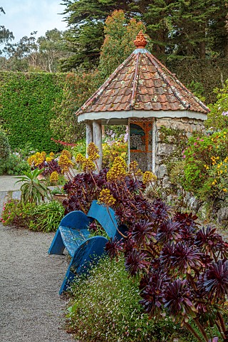 TRESCO_ABBEY_GARDEN_ISLES_OF_SCILLY_MAY_SPRING_THE_SHELL_HOUSE_TERRACE_BLUE_WOODEN_BENCH_SEAT_AEONIU