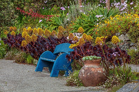 TRESCO_ABBEY_GARDEN_ISLES_OF_SCILLY_MAY_SPRING_THE_SHELL_HOUSE_TERRACE_BLUE_WOODEN_BENCH_SEAT_AEONIU