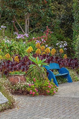 TRESCO_ABBEY_GARDEN_ISLES_OF_SCILLY_MAY_SPRING_THE_SHELL_HOUSE_TERRACE_BLUE_WOODEN_BENCH_SEAT_AEONIU