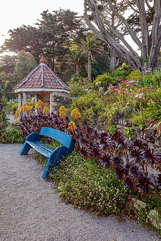 TRESCO_ABBEY_GARDEN_ISLES_OF_SCILLY_MAY_SPRING_THE_SHELL_HOUSE_TERRACE_BLUE_WOODEN_BENCH_SEAT_AEONIU