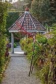 TRESCO ABBEY GARDEN, ISLES OF SCILLY: MAY, SPRING, THE SHELL HOUSE TERRACE, WOODEN STICK HOLDING UP BESCHORNERIA YUCCOIDES