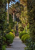 TRESCO ABBEY GARDEN, ISLES OF SCILLY: VIEW UP THE NEPTUNE STEPS, MAY, SPRING