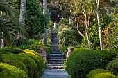 TRESCO ABBEY GARDEN, ISLES OF SCILLY: VIEW UP THE NEPTUNE STEPS, MAY, SPRING, TERRACES