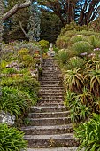 TRESCO ABBEY GARDEN, ISLES OF SCILLY: VIEW UP THE NEPTUNE STEPS, MAY, SPRING