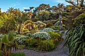 TRESCO ABBEY GARDEN, ISLES OF SCILLY: MAY, SPRING, THE PEBBLE GARDEN, TROPICAL, EXOTIC