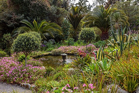 RESCO_ABBEY_GARDEN_TRESCO__ISLES_OF_SCILLY_MAY_SPRING_POOL_FOUNTAIN_WITH_OLEA_EUROPEA_ON_THE_MIDDLE_