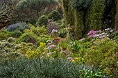 TRESCO ABBEY GARDEN, ISLES OF SCILLY: VIEW OF GARDENS FROM THE TOP TERRACE, BESCHORNERIA YUCCOIDES, SENECIO GLASTIFOLUS