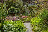RESCO ABBEY GARDEN, TRESCO,  ISLES OF SCILLY: MAY, SPRING, POOL, FOUNTAIN WITH OLEA EUROPEA ON THE MIDDLE TERRACE