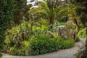 TRESCO ABBEY GARDEN, ISLES OF SCILLY: MAY, SPRING, PATH, BANK, ROCKS, PALM TREES