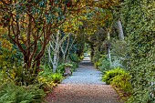 TRESCO ABBEY GARDEN, ISLES OF SCILLY: MAY, SPRING, PATH