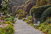 TRESCO ABBEY GARDEN, ISLES OF SCILLY: MAY, SPRING, VIEW ALONG THE TOP TERRACE, PATH, BENCH