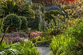 RESCO ABBEY GARDEN, TRESCO,  ISLES OF SCILLY: MAY, SPRING, POOL, FOUNTAIN WITH OLEA EUROPEA ON THE MIDDLE TERRACE