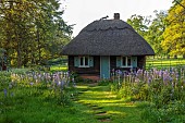 COTTESBROOKE HALL AND GARDENS, NORTHAMPTONSHIRE: SPRING, MAY: THATCHED WENDY HOUSE, CAMASSIA LEIGHTLINII CAERULEA, PERENNIALS, SHADE, SHADY, PATH. SUMMERHOUSE