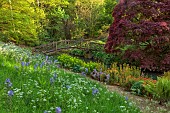 COTTESBROOKE HALL AND GARDENS, NORTHAMPTONSHIRE: SPRING, MAY: THE WILD GARDEN, CAMASSIA LEIGHTLINII CAERULEA, COW PARSLEY, BRIDGE, EUPHORBIA, JAPANESE MAPLES