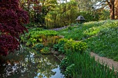 COTTESBROOKE HALL AND GARDENS, NORTHAMPTONSHIRE: SPRING, MAY: THE WILD GARDEN, STREAM, FERNS, EUPHORBIA, WILLOW, MAPLE, ACER, PAVILION