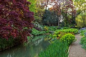 COTTESBROOKE HALL AND GARDENS, NORTHAMPTONSHIRE: SPRING, MAY: THE WILD GARDEN, STREAM, FERNS, EUPHORBIA, WILLOW, MAPLE, ACER, PATH