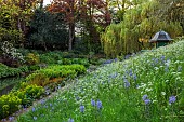 COTTESBROOKE HALL AND GARDENS, NORTHAMPTONSHIRE: SPRING, MAY: THE WILD GARDEN, STREAM, FERNS, EUPHORBIA, WILLOW, MAPLE, ACER, PAVILION