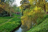 COTTESBROOKE HALL AND GARDENS, NORTHAMPTONSHIRE: SPRING, MAY: THE WILD GARDEN, STREAM, WILLOW, BRIDGE