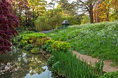 COTTESBROOKE HALL AND GARDENS, NORTHAMPTONSHIRE: SPRING, MAY: THE WILD GARDEN, STREAM, MAPLE, ACER, PAVILION, EUPHORBIAS, COW PARSLEY