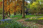 COTTESBROOKE HALL AND GARDENS, NORTHAMPTONSHIRE: SPRING, MAY: THE WILD GARDEN, COW PARSLEY, BLUEBELLS, WENDY HOUSE, SUMMERHOUSE