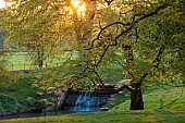 COTTESBROOKE HALL AND GARDENS, NORTHAMPTONSHIRE: SPRING, TREES, CASCADE, PARKLAND, SUNSET