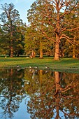 COTTESBROOKE HALL AND GARDENS, NORTHAMPTONSHIRE: SPRING, TREES, LAKE, GEESE, PARKLAND, SUNSET, REFLECTIONS, REFLECTED