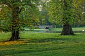 COTTESBROOKE HALL AND GARDENS, NORTHAMPTONSHIRE: SPRING, TREES, LAKE, PARKLAND, BRIDGE