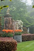 COTTESBROOKE HALL AND GARDENS, NORTHAMPTONSHIRE: SPRING, MAY: WALL, WHITE FLOWERS, BLOOMS OF WISTERIA BRACHYBOTRIS SHIRO-KAPITAN, CLIMBER, TULIP BALLERINA IN CONTAINERS