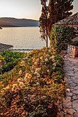 KOULOURA, CORFU, GREECE: DESIGNER PAUL BANGAY: TOP TERRACE, SUNRISE, POOL HOUSE, WHITE FLOWERS OF ICEBERG ROSES
