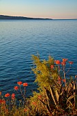 KOULOURA, CORFU, GREECE: DESIGNER PAUL BANGAY: VIEW EAST TO ALBANIAN MOUNTAINS, SUNRISE
