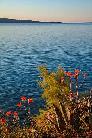 KOULOURA_CORFU_GREECE_DESIGNER_PAUL_BANGAY_VIEW_EAST_TO_ALBANIAN_MOUNTAINS_SUNRISE