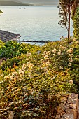 KOULOURA, CORFU, GREECE: DESIGNER PAUL BANGAY: TOP TERRACE, SUNRISE, WHITE FLOWERS OF ICEBERG ROSES