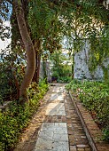 KOULOURA, CORFU, GREECE: DESIGNER PAUL BANGAY: PATH, EARLY MORNING