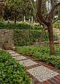 KOULOURA, CORFU, GREECE: DESIGNER PAUL BANGAY: DECORATIVE COBBLED PATH, TERRACOTTA CONTAINER, WALLS, STAR JASMINE, TRACHELOSPERMUM JASMINOIDES