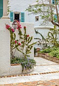 KOULOURA, CORFU, GREECE: DESIGNER PAUL BANGAY: COURTYARD, BOUIGAINVILLEA ON WHITE WALLS