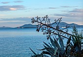 KOULOURA, CORFU, GREECE: DESIGNER PAUL BANGAY: VIEW TOWARDS CORFU TOWN, DAWN