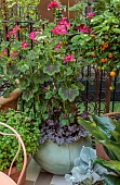 CHELSEA 2024 LA MIA VENEZIA GARDEN, DESIGNER MICHELA TRINCA, KATE GOULD