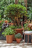 CHELSEA 2024 LA MIA VENEZIA GARDEN, DESIGNER MICHELA TRINCA, KATE GOULD
