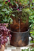 CHELSEA 2024 LA MIA VENEZIA GARDEN, DESIGNER MICHELA TRINCA, KATE GOULD