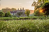 CAISSON GARDEN, SOMERSET: SUNRISE, POOL, POND, WHITE CAMASSIAS, CAMASSIA LEICHTLINII ALBA, CLIPPED TOPIARY BOX