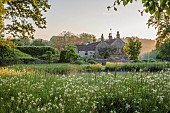 CAISSON GARDEN, SOMERSET: SUNRISE, POOL, POND, WHITE CAMASSIAS, CAMASSIA LEICHTLINII ALBA, CLIPPED TOPIARY BOX