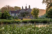 CAISSON GARDEN, SOMERSET: SUNRISE, POOL, POND, WHITE CAMASSIAS, CAMASSIA LEICHTLINII ALBA, CLIPPED TOPIARY BOX