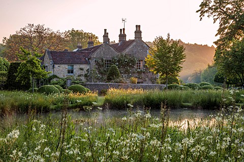 CAISSON_GARDEN_SOMERSET_SUNRISE_POOL_POND_WHITE_CAMASSIAS_CAMASSIA_LEICHTLINII_ALBA_CLIPPED_TOPIARY_