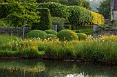 CAISSON GARDEN, SOMERSET: SUNRISE, WHITE CAMASSIAS, CAMASSIA LEICHTLINII ALBA, CLIPPED TOPIARY, POO0L, POND, WATER