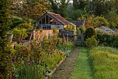 CAISSON GARDEN, SOMERSET: BORDER, PATH, RED FLOWERS, ALLIUM PURPLE SENSATION, ALLIUM ATROPURPUREUM, LINARIA CANON WENT, ROSA MUNSTEAD WOOD, ROSA PURPLE SKYLINER, FOXGLOVES, GATE