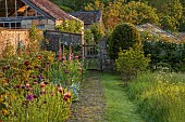 CAISSON GARDEN, SOMERSET: BORDER, PATH, RED FLOWERS, ALLIUM PURPLE SENSATION, ALLIUM ATROPURPUREUM, LINARIA CANON WENT, ROSA MUNSTEAD WOOD, ROSA PURPLE SKYLINER, FOXGLOVES, GATE