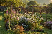CAISSON GARDEN, SOMERSET: WALLED GARDEN, KITCHEN GARDEN, VEGETABLES, FRUIT, STEPOVER, HAZEL PLANT STRUCTURES, FOXGLOVES, FENNEL, PHACELIA, HESPERIS MATRONALIS VAR. ALBIFLORA