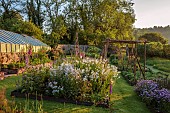 CAISSON GARDEN, SOMERSET: WALLED GARDEN, KITCHEN GARDEN, VEGETABLES, FRUIT, STEPOVER, HAZEL PLANT STRUCTURES, FOXGLOVES, FENNEL, PHACELIA, HESPERIS MATRONALIS VAR. ALBIFLORA
