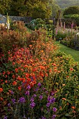 CAISSON GARDEN, SOMERSET: WALLED GARDEN, KITCHEN GARDEN, GEUM TOTALLY TANGERINE, ERYSIMUM BOWLES MAUVE, FOENICULUM VULGARE, FENNEL